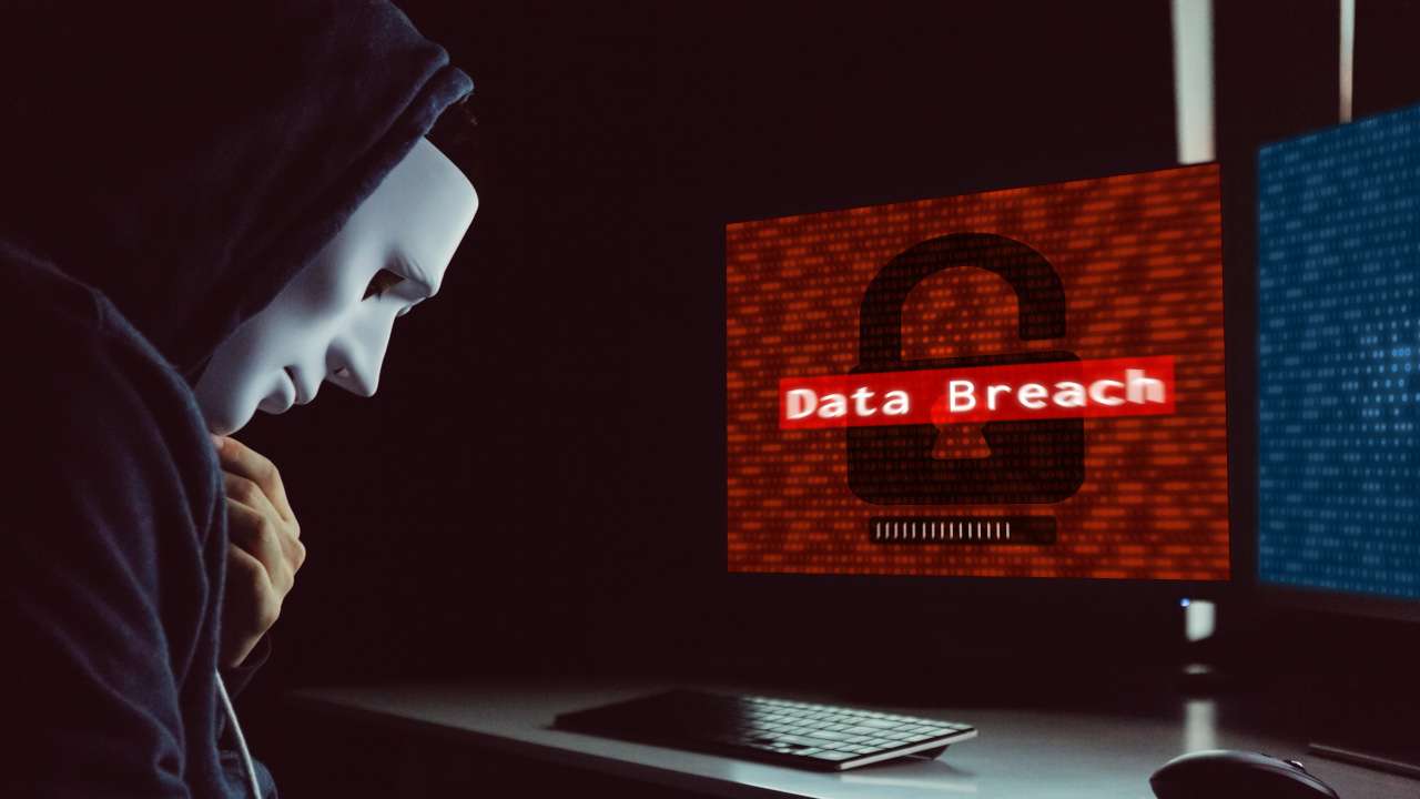 Was Your Information Compromised From The National Public Data Breach?