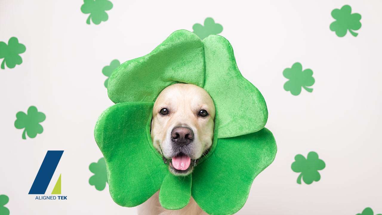 Feeling Lucky? That’s Not How Well-Run Businesses Operate.